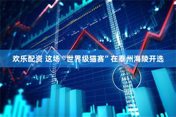 欢乐配资 这场“世界级猫赛”在泰州海陵开选