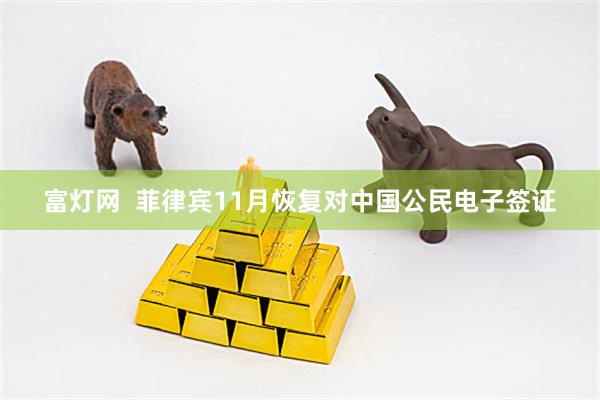 富灯网  菲律宾11月恢复对中国公民电子签证
