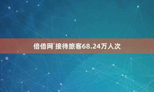 倍倍网 接待旅客68.24万人次